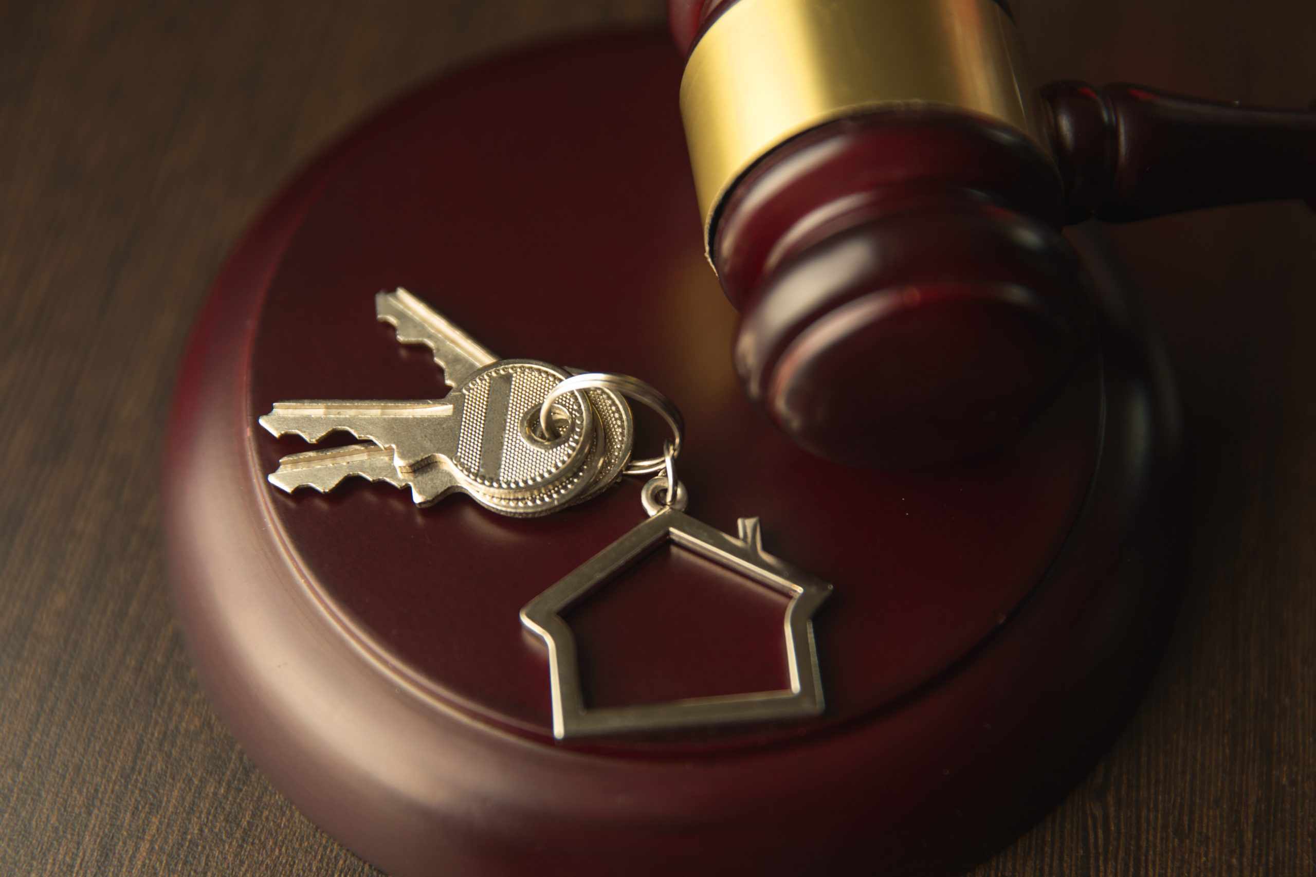Changes to NSW Residential Tenancy Laws Start 23 March 2020